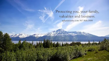 A Plus Security LLC office