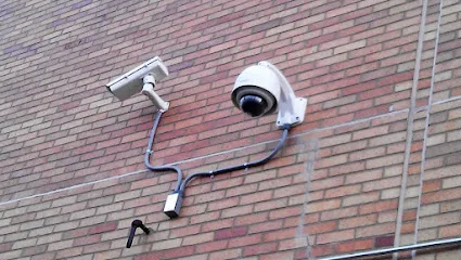 VIP SECURITY SOLUTIONS INC office