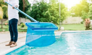 Pool Skimmers for Cleaning